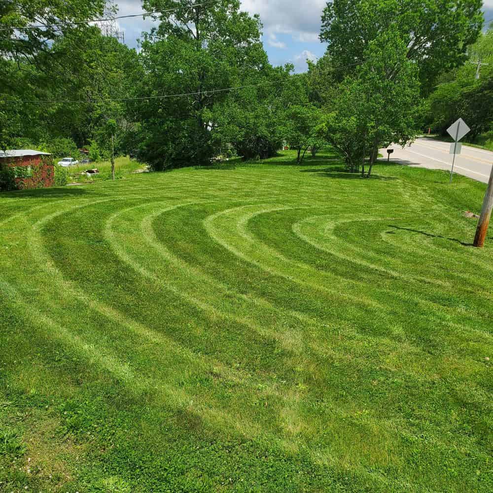 Lawn Care Services image