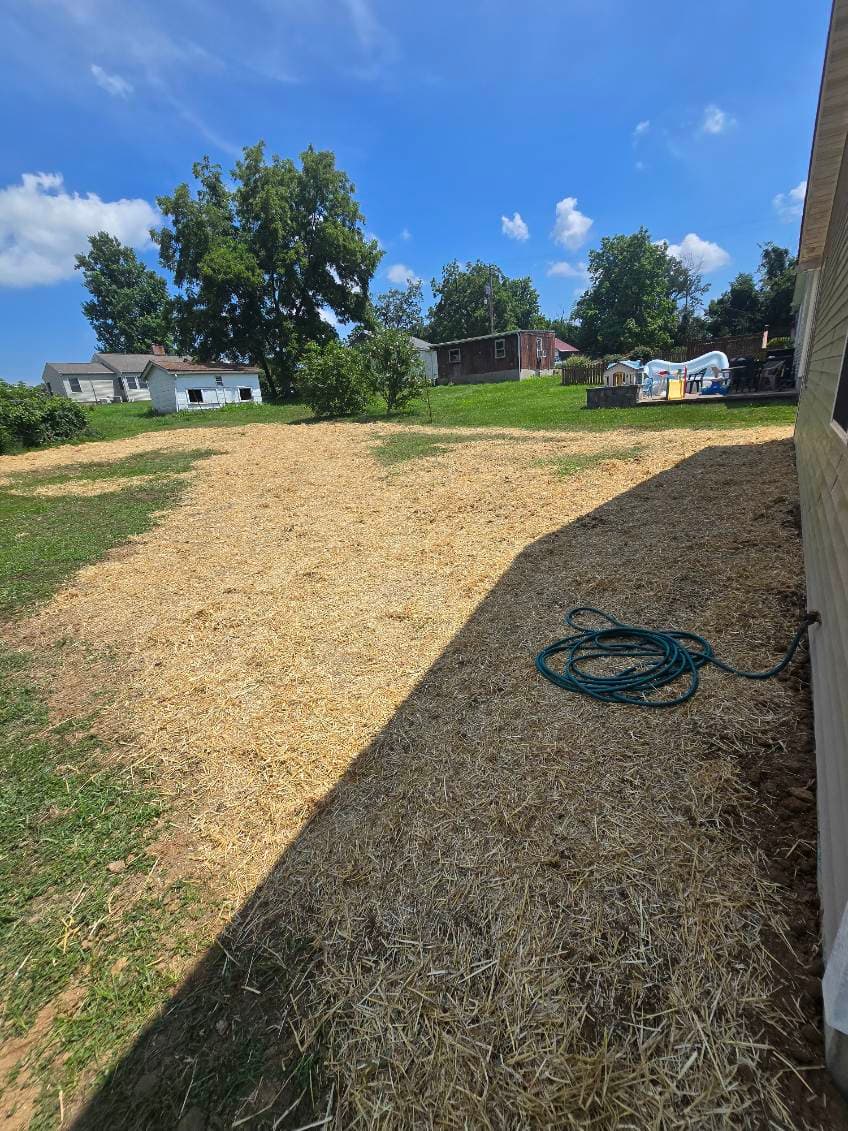 Gallery photos for Seamless Drainage Transformation Resolved: Image #2